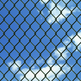 High Quality Chain Link Fence for Sale