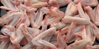 Quality Processed Frozen Chicken Wing