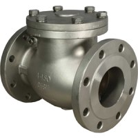 Check Valve