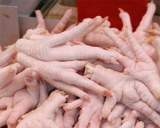 Pattes de poulets congeles halal