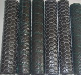 Hexagonal Wire netting