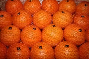 Fruits et légumes d'origine Maroc