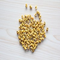 Huoshan dendrobium officinale candicum 04