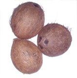 280000 noix de coco à vendre