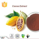 Pure natural antioxidant,weight loss ingredient cocoa seed extract