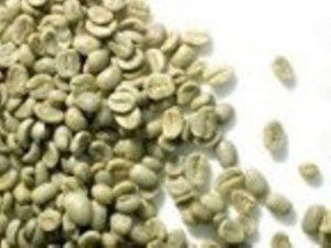 ARABICA et ROBUSTA COFFEE