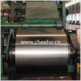 Building Material SPCC Steel Coil