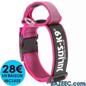 Collier pour chien JULIUS-K9 LIVRAISON GRATUITE