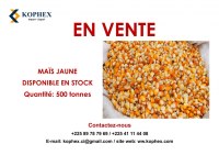 1200 TONNES DE MAÏS JAUNE