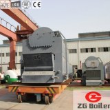 DZL Packaged chain grate boiler