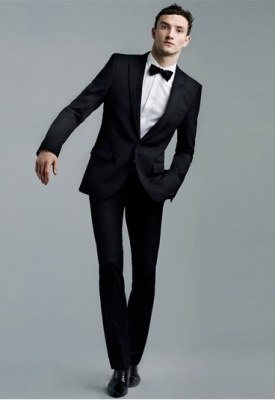 Papillons de costume