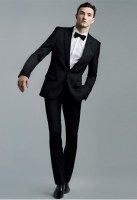 Papillons de costume