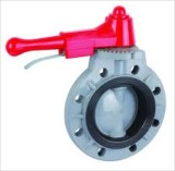 Plastic butterfly valves