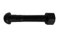 Coupe ovale cou poisson boulon