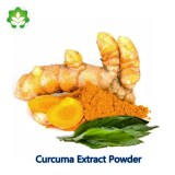 Price curcuma longa extract 95% curcumins powder