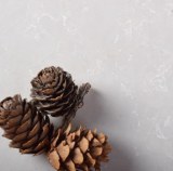 5110 Alpine Mist Natural Marble Look Quartz Stone