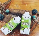 ORGANIC COCONUT WATER or MILK with TROPICAL JUICES