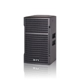 CT 10inch Conference Room Speaker