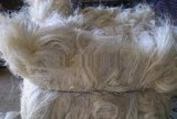 Sisal fibre 100% UG année