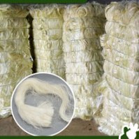 UG grade blanc Sisal fibre pour le bâtiment de haute qualité UG grade blanc Sisal fibre