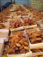 Dattes "DEGLET NOUR" Tunisienne et BIO