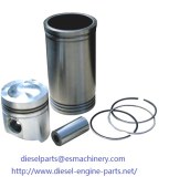 Jiangdong Generator Engine Part, Jiangdong diesel machinery engine part