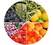 Vente de fruits et légumes