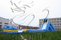 Hot sale inflatable water slide for kids and adults for sale !!!