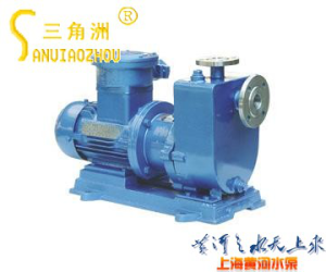 ZCQ Model Self-priming Magnetic Pump