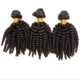 Malaysian Curly Hair