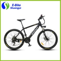 Mountain electric bike