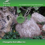 Epigeal Srephaia Root Extract (sales07@nutra-max.com)