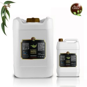 Huile Essentielle d’Eucalyptus Globulus 100 % Pure et Naturelle