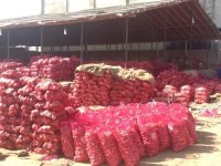 100% d'oignon rouge frais à vendre