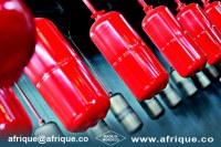 MALI EXTINCTEUR D'INCENDIE BAMAKO/SÉCURITÉ INCENDIE