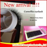 New arrival eyelash exension, camellia lashes exensions