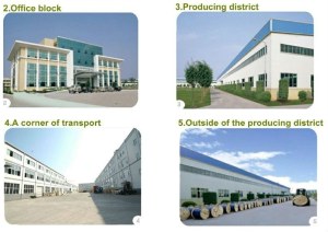 Vente câble réseau et le routeur sans fil