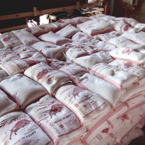 FARINE BAREA great quality and discounts on bulk orders product of Egypt