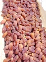 Export Algerian dattes