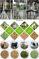 Animal Feed Production Equipment Start A Feed Pellet Plant
