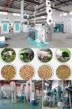 Poultry Feed Pellet Mill Machine Feeding Pig With Pellets Feed
