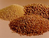 Flaxseed Extract
