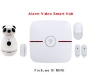 Surveillance and alarm smart home hub