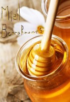 Miel de jujubier + miel de romarin VENTE EN GROS