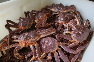 Fresh Live King Crab For Sale
