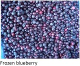 Frozen blueberry