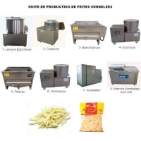 Créez une Unité de Production de Frites Surgelées Semi-Automatique
