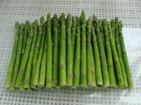 Frozen Green Asparagus with Good Price Best 2016 New Crop