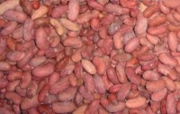 Frozen kidney beans