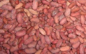 Frozen kidney beans